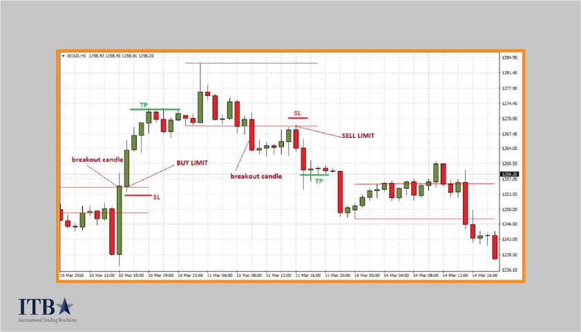 price action forex trading